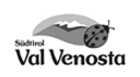 logo-valvenostra